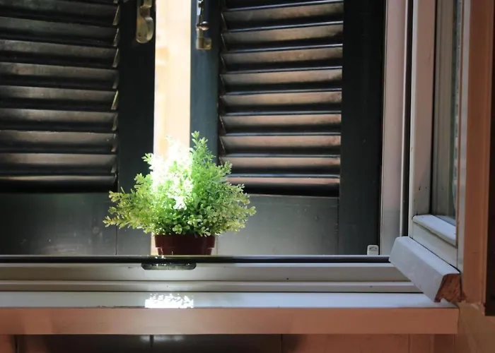 Апартаменты Colosseum New Charming *